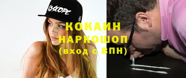 гидропоника Бородино