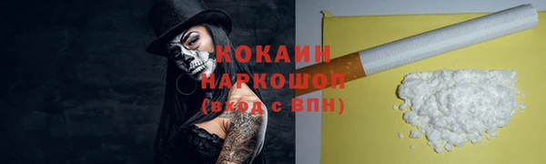 гидропоника Бородино