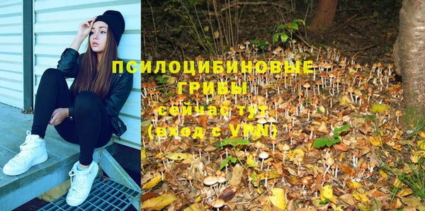 гидропоника Бородино